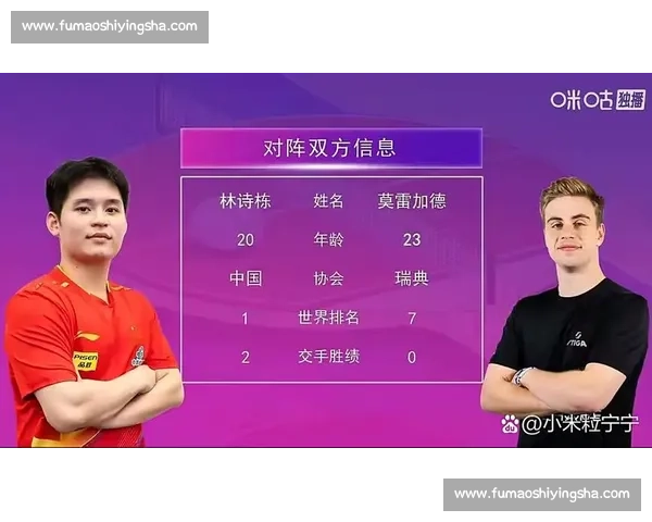 世界乒乓球最新排名格局变化与国乒主力选手竞争态势深度解析